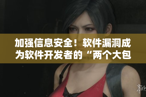 加強(qiáng)信息安全！軟件漏洞成為軟件開(kāi)發(fā)者的“兩個(gè)大包包”