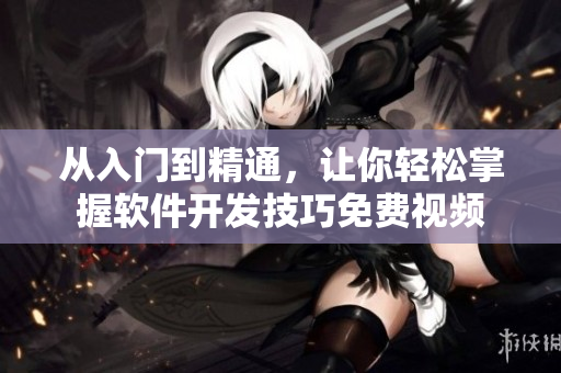 從入門到精通，讓你輕松掌握軟件開(kāi)發(fā)技巧免費(fèi)視頻