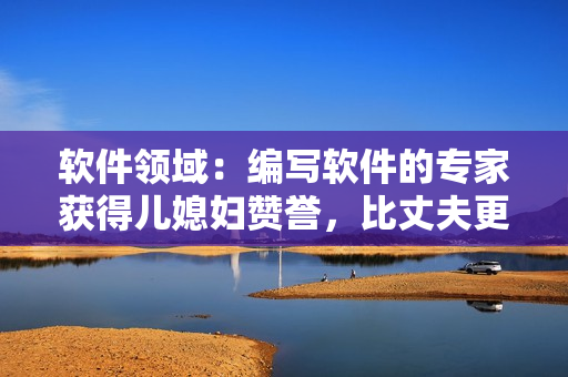 軟件領(lǐng)域：編寫軟件的專家獲得兒媳婦贊譽(yù)，比丈夫更能掌握IT深層技能