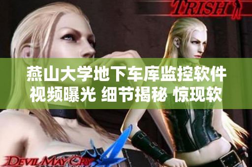 燕山大學(xué)地下車庫監(jiān)控軟件視頻曝光 細(xì)節(jié)揭秘 驚現(xiàn)軟件漏洞 評論熱議