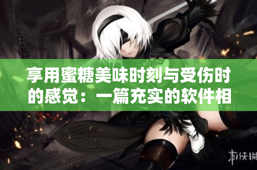 享用蜜糖美味時刻與受傷時的感覺：一篇充實的軟件相關(guān)文章
