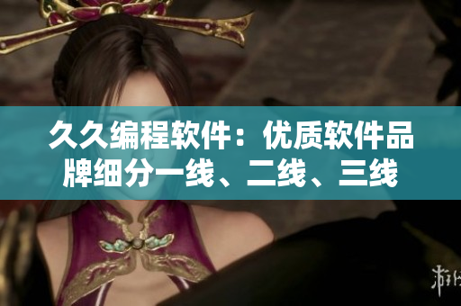 久久編程軟件：優(yōu)質(zhì)軟件品牌細(xì)分一線、二線、三線