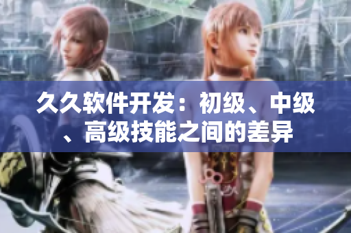 久久軟件開(kāi)發(fā)：初級(jí)、中級(jí)、高級(jí)技能之間的差異