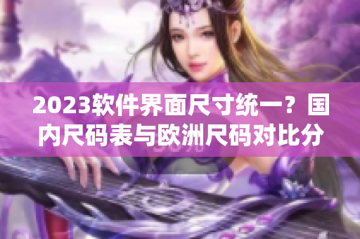 2023軟件界面尺寸統(tǒng)一？國內(nèi)尺碼表與歐洲尺碼對比分析指南！