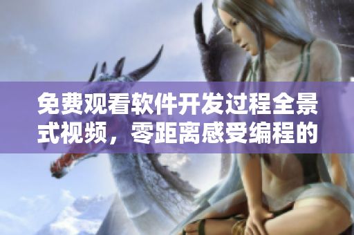 免費觀看軟件開發(fā)過程全景式視頻，零距離感受編程的浪漫與美妙