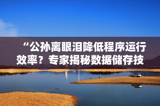 “公孫離眼淚降低程序運行效率？專家揭秘數(shù)據(jù)儲存技巧”