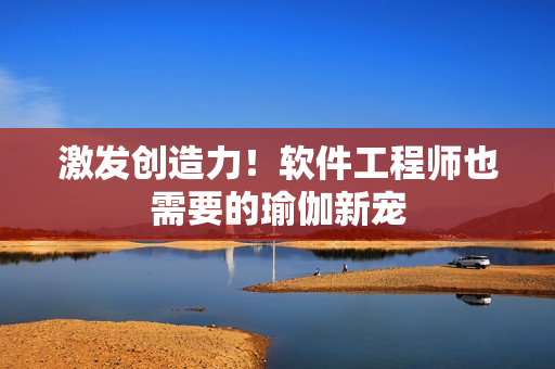 激發(fā)創(chuàng)造力！軟件工程師也需要的瑜伽新寵