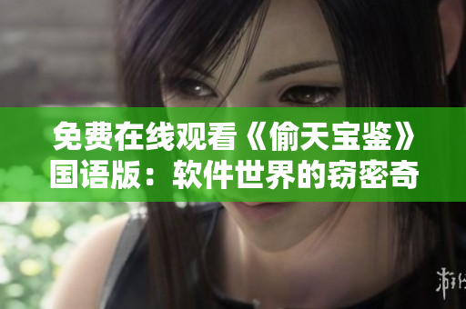 免費(fèi)在線觀看《偷天寶鑒》國語版：軟件世界的竊密奇諜