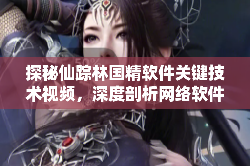 探秘仙蹤林國精軟件關鍵技術視頻，深度剖析網(wǎng)絡軟件開發(fā)技巧！