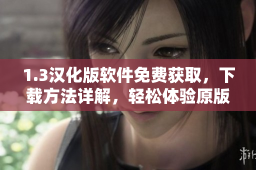 1.3漢化版軟件免費(fèi)獲取，下載方法詳解，輕松體驗(yàn)原版功能