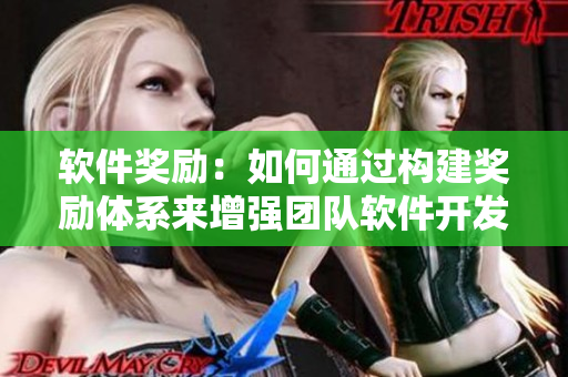 軟件獎勵：如何通過構建獎勵體系來增強團隊軟件開發(fā)效率？