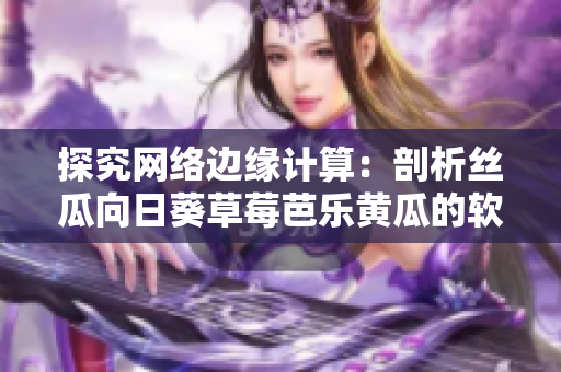 探究網(wǎng)絡(luò)邊緣計(jì)算：剖析絲瓜向日葵草莓芭樂黃瓜的軟件支持