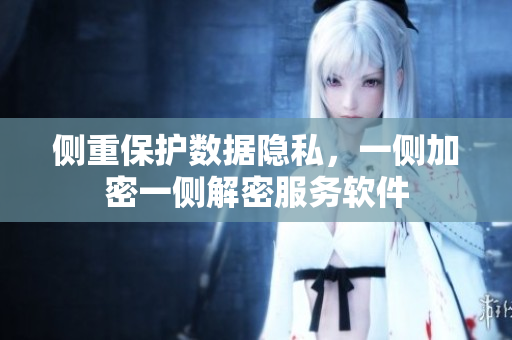 側重保護數(shù)據(jù)隱私，一側加密一側解密服務軟件