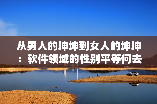 從男人的坤坤到女人的坤坤：軟件領(lǐng)域的性別平等何去何從？