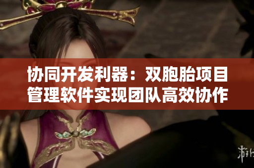 協(xié)同開發(fā)利器：雙胞胎項(xiàng)目管理軟件實(shí)現(xiàn)團(tuán)隊(duì)高效協(xié)作