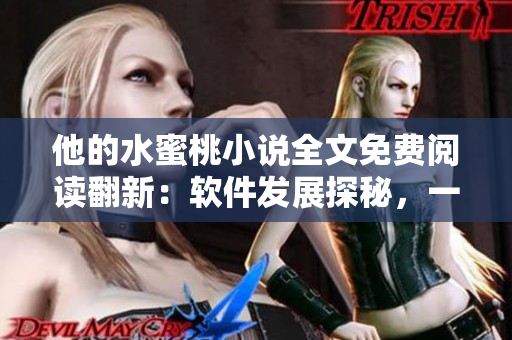 他的水蜜桃小說(shuō)全文免費(fèi)閱讀翻新：軟件發(fā)展探秘，一窺行業(yè)黑科技