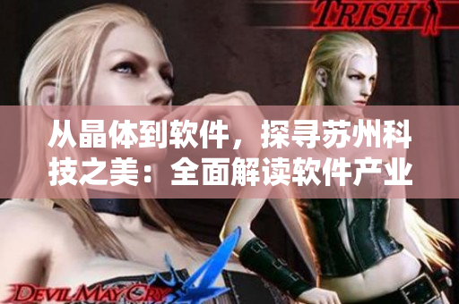 從晶體到軟件，探尋蘇州科技之美：全面解讀軟件產業(yè)發(fā)展