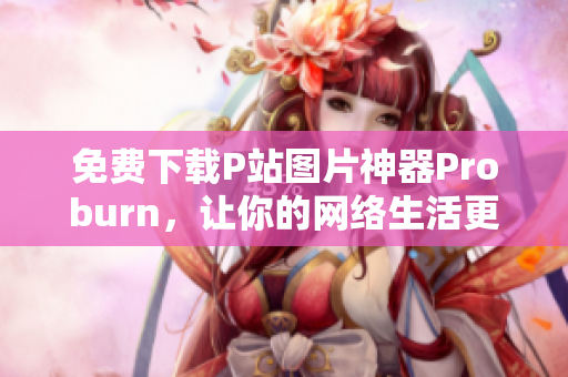 免費(fèi)下載P站圖片神器Proburn，讓你的網(wǎng)絡(luò)生活更便捷