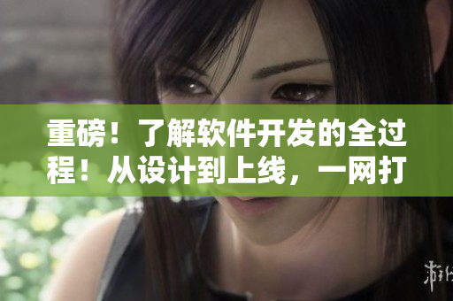 重磅！了解軟件開發(fā)的全過程！從設(shè)計到上線，一網(wǎng)打盡！
