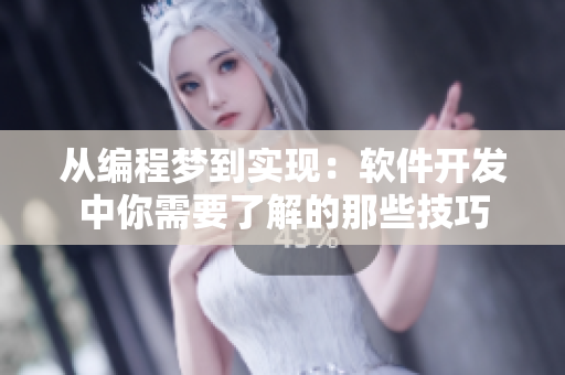 從編程夢到實現(xiàn)：軟件開發(fā)中你需要了解的那些技巧