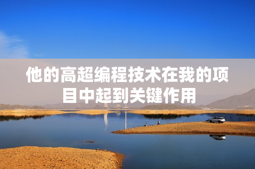 他的高超編程技術(shù)在我的項(xiàng)目中起到關(guān)鍵作用