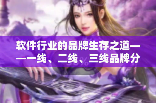 軟件行業(yè)的品牌生存之道——一線、二線、三線品牌分析