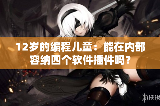 12歲的編程兒童：能在內(nèi)部容納四個(gè)軟件插件嗎？