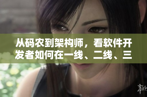 從碼農(nóng)到架構(gòu)師，看軟件開發(fā)者如何在一線、二線、三線公司生存與發(fā)展