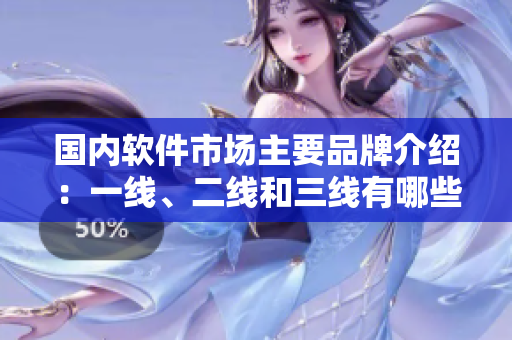 國內(nèi)軟件市場主要品牌介紹：一線、二線和三線有哪些？