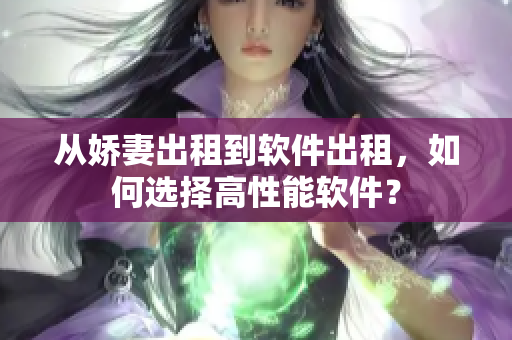 從嬌妻出租到軟件出租，如何選擇高性能軟件？