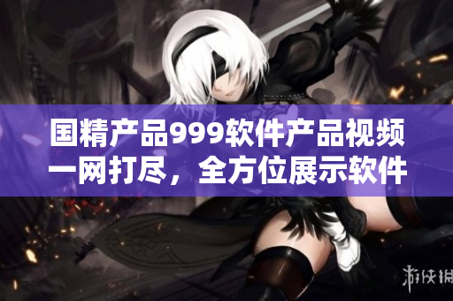 國精產(chǎn)品999軟件產(chǎn)品視頻一網(wǎng)打盡，全方位展示軟件技術(shù)特點