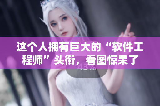 這個(gè)人擁有巨大的“軟件工程師”頭銜，看圖驚呆了