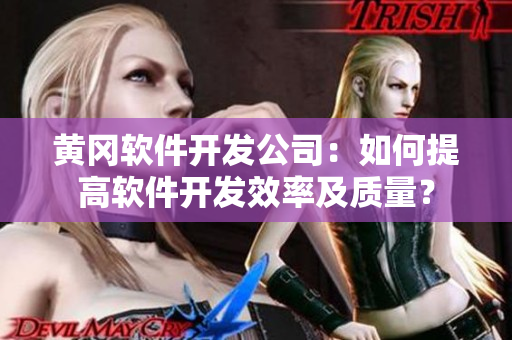 黃岡軟件開發(fā)公司：如何提高軟件開發(fā)效率及質(zhì)量？
