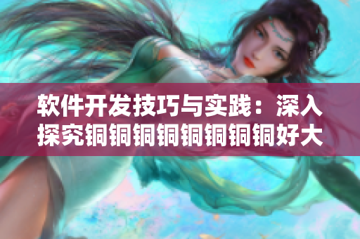 軟件開(kāi)發(fā)技巧與實(shí)踐：深入探究銅銅銅銅銅銅銅銅好大好深板
