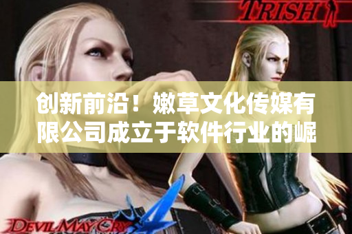 創(chuàng)新前沿！嫩草文化傳媒有限公司成立于軟件行業(yè)的崛起時刻