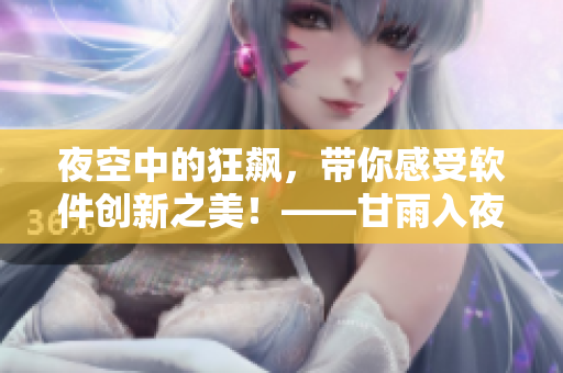 夜空中的狂飆，帶你感受軟件創(chuàng)新之美！——甘雨入夜狂飆軟件視覺壁紙