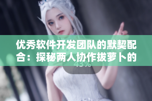 優(yōu)秀軟件開發(fā)團(tuán)隊(duì)的默契配合：探秘兩人協(xié)作拔蘿卜的奧秘