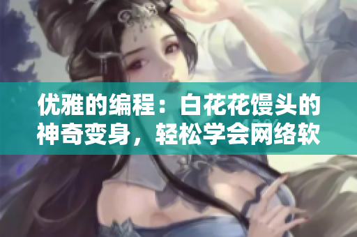 優(yōu)雅的編程：白花花饅頭的神奇變身，輕松學(xué)會(huì)網(wǎng)絡(luò)軟件開發(fā)技巧
