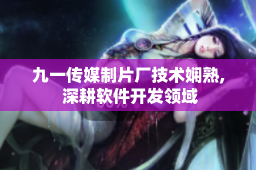九一傳媒制片廠技術嫻熟, 深耕軟件開發(fā)領域