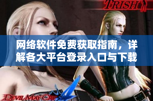 網(wǎng)絡(luò)軟件免費(fèi)獲取指南，詳解各大平臺(tái)登錄入口與下載方法