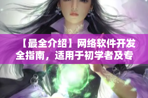 【最全介紹】網絡軟件開發(fā)全指南，適用于初學者及專業(yè)人士！