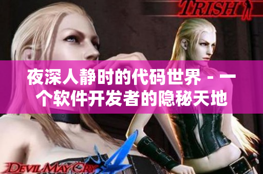 夜深人靜時的代碼世界－一個軟件開發(fā)者的隱秘天地