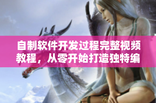 自制軟件開發(fā)過程完整視頻教程，從零開始打造獨特編碼技能
