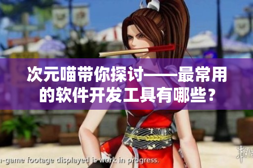 次元喵帶你探討——最常用的軟件開發(fā)工具有哪些？