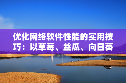 優(yōu)化網(wǎng)絡(luò)軟件性能的實用技巧：以草莓、絲瓜、向日葵、秋葵和茄子為例