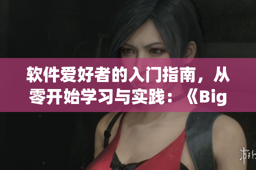 軟件愛好者的入門指南，從零開始學(xué)習(xí)與實踐：《Bigbang軟件視頻教程》