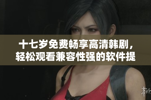 十七歲免費暢享高清韓劇，輕松觀看兼容性強的軟件提供者