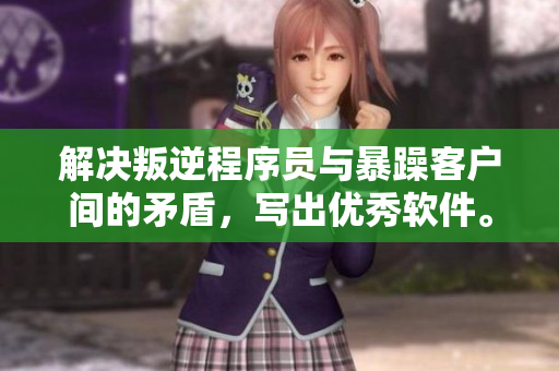 解決叛逆程序員與暴躁客戶間的矛盾，寫出優(yōu)秀軟件。