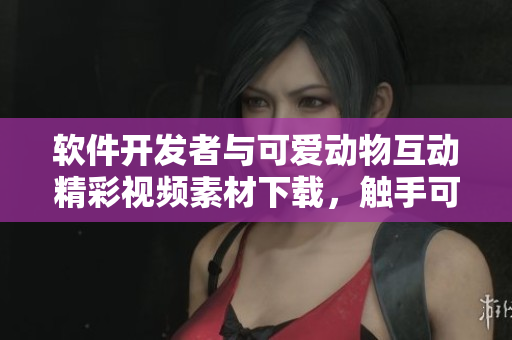 軟件開發(fā)者與可愛動(dòng)物互動(dòng)精彩視頻素材下載，觸手可及