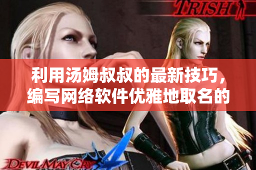 利用湯姆叔叔的最新技巧，編寫(xiě)網(wǎng)絡(luò)軟件優(yōu)雅地取名的教程